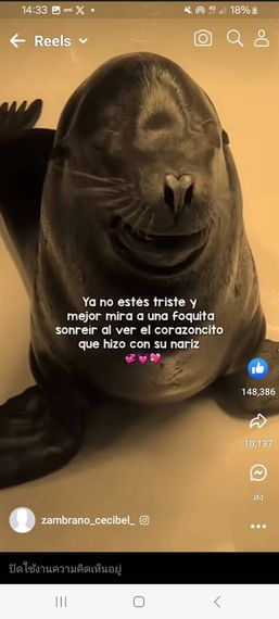 แชท หาเพื่อนคุย  ที่อยู่  มหาสารคาม