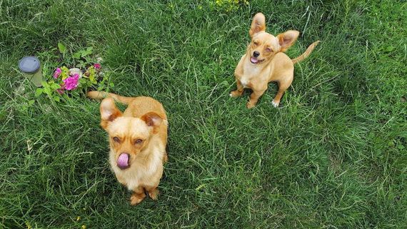 แชท หากิ๊ก, โสด  ที่อยู่  ชลบุรี