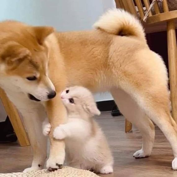แชท หาเพื่อนคุย, หาเพื่อนเที่ยว  ที่อยู่ กรุงเทพมหานคร