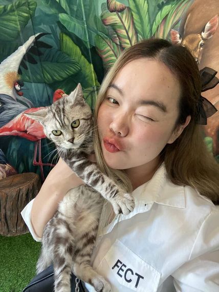 แชท หาเพื่อนคุย 