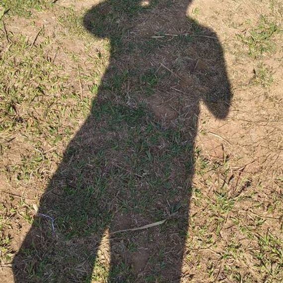 แชท หากิ๊ก 