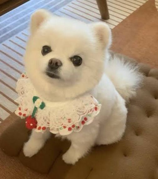 แชท หาเพื่อนคุย, หาเพื่อนเที่ยว 