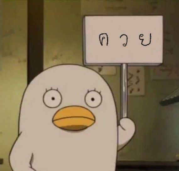 chat looking for friends 