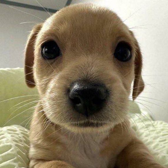 แชท หาเพื่อนคุย, แชทเปิดกล้อง 