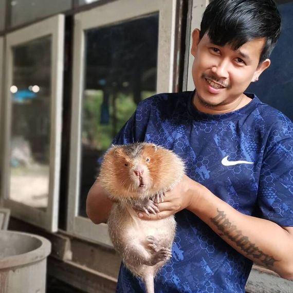 แชท หาเพื่อนไลน์, แชทเปิดกล้อง  ที่อยู่  พิจิตร