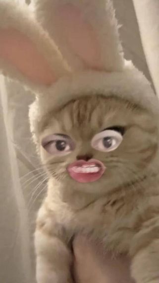 chat find love, chat 