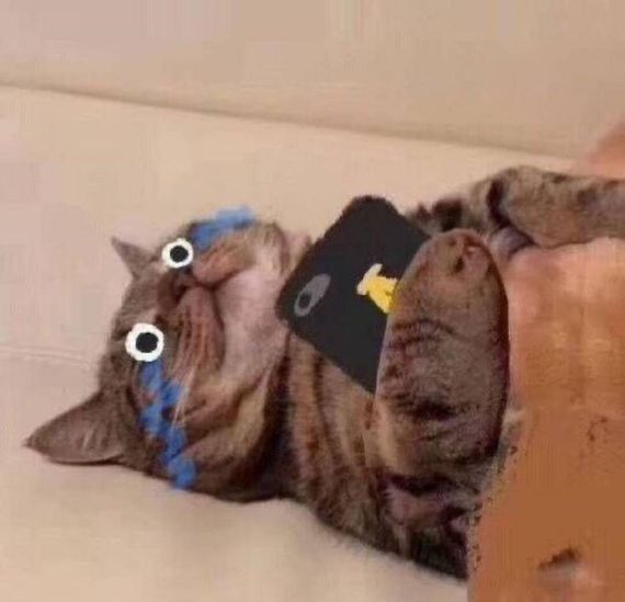 chat looking for friends 