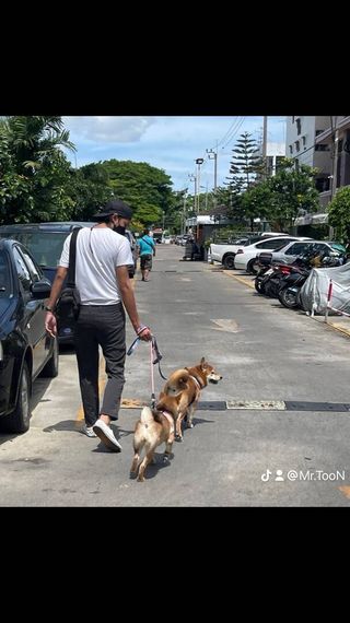 แชท โสด  ที่อยู่ กรุงเทพมหานคร