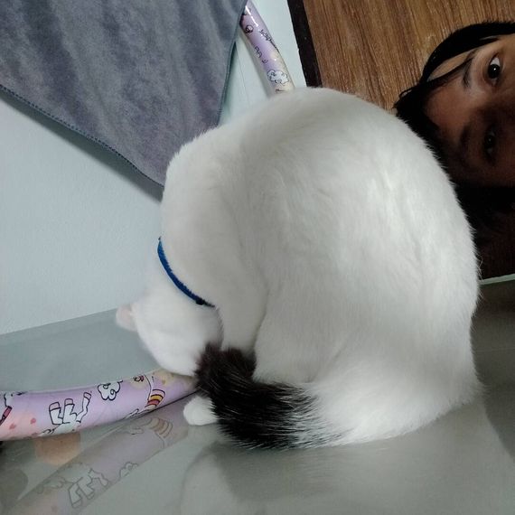 แชท หาเพื่อนคุย 