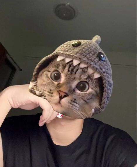แชท หาเพื่อนคุย, หาเพื่อนเที่ยว 