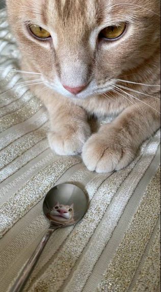 แชท หาเพื่อนคุย  ที่อยู่  ลำปาง