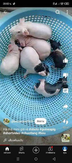 แชท หาเพื่อนคุย, หาเพื่อนเที่ยว 