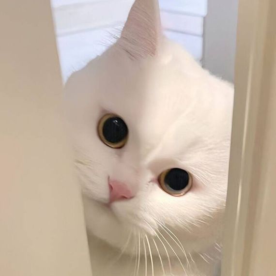 แชท หาเพื่อนคุย  ที่อยู่  ชลบุรี