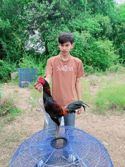 แชท หาเพื่อนคุย 