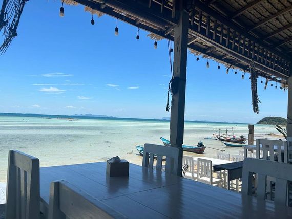 แชท หาเพื่อนคุย, โสด  ที่อยู่  สุราษฎร์ธานี