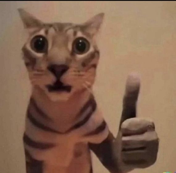 chat looking for friends 