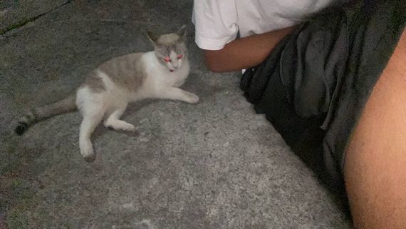 chat looking for friends 
