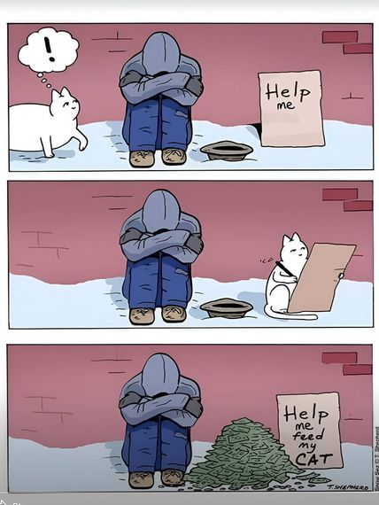chat looking for friends 