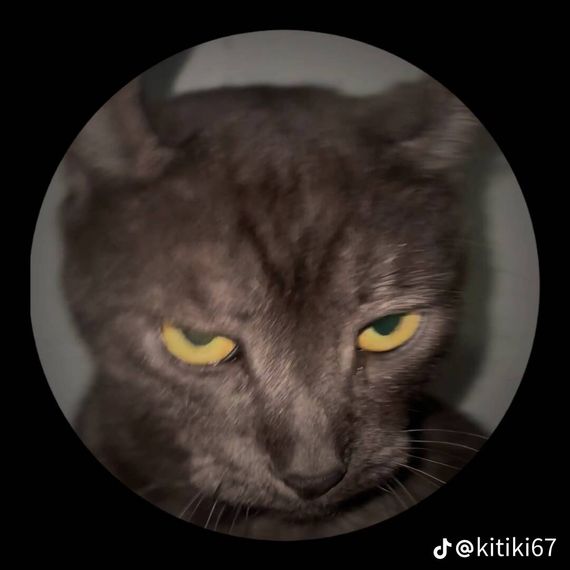chat chat, single  from Mukdahan
