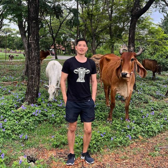 แชท หาเพื่อนคุย 