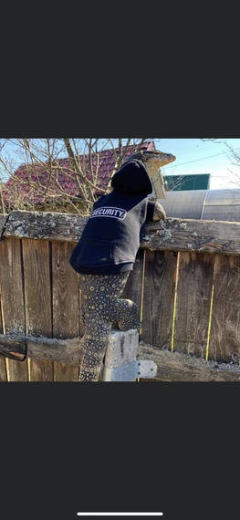 chat looking for friends 