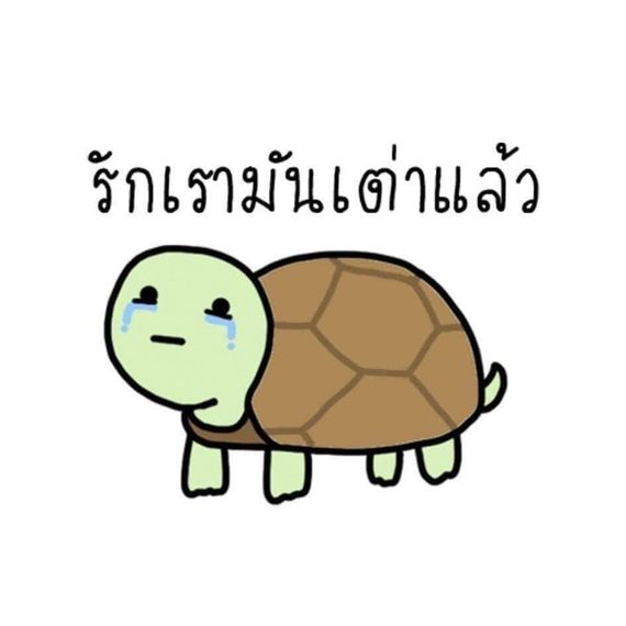 แชท แชทเปิดกล้อง 