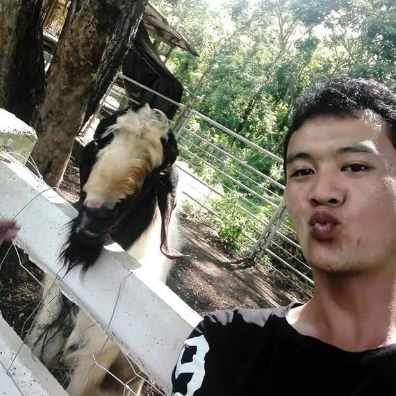 แชท โสด 