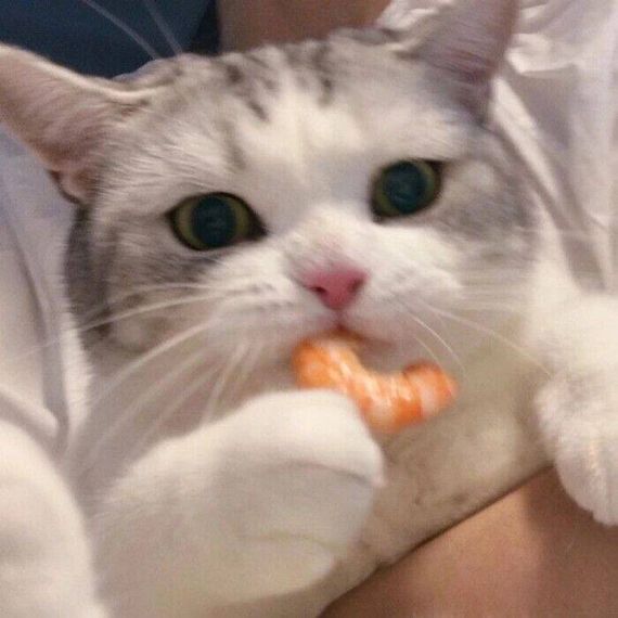 แชท หาเพื่อนเที่ยว 