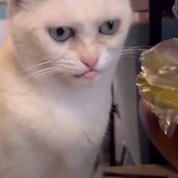 แชท หาแฟน, หาเพื่อนคุย 