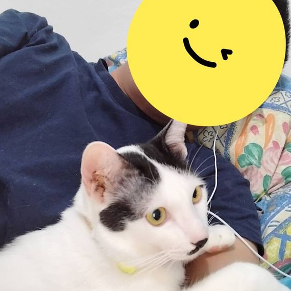 แชท หาเพื่อนคุย  ที่อยู่  ประจวบคีรีขันธ์