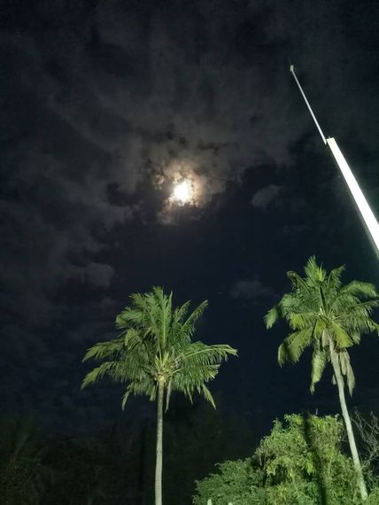 chat looking for friends 