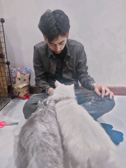 แชท หาเพื่อนคุย, หากิ๊ก  ที่อยู่  ชุมพร