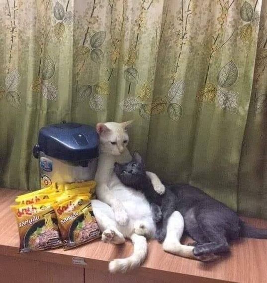 แชท หากิ๊ก 