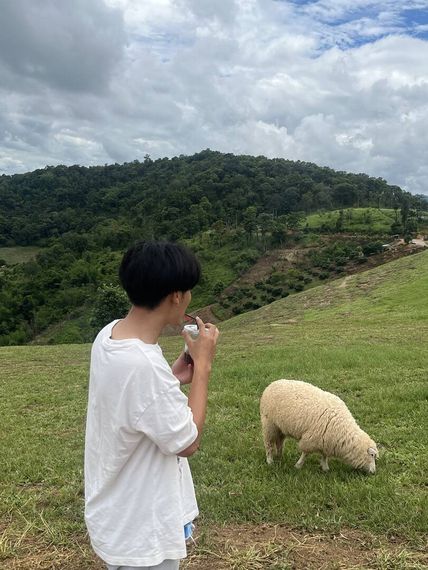 แชท หาเพื่อนคุย 