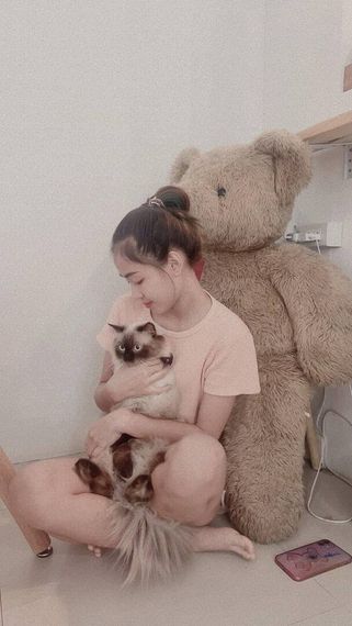 แชท หาเพื่อนคุย 