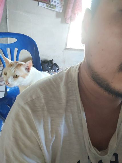 แชท หาเพื่อนคุย 