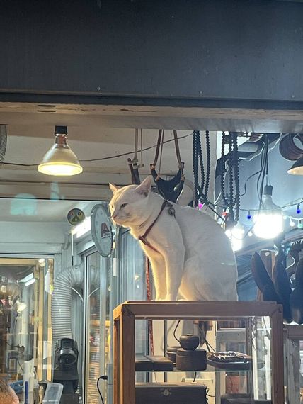 แชท หาเพื่อนคุย, หาเพื่อนเที่ยว  ที่อยู่  ปทุมธานี