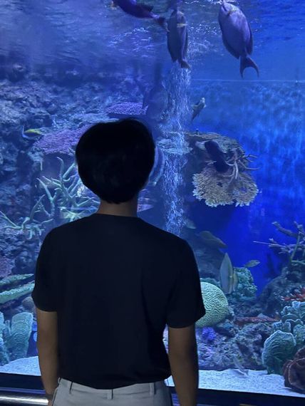 แชท หาเพื่อนคุย 