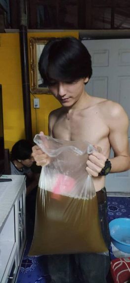 แชท หาเพื่อนคุย 