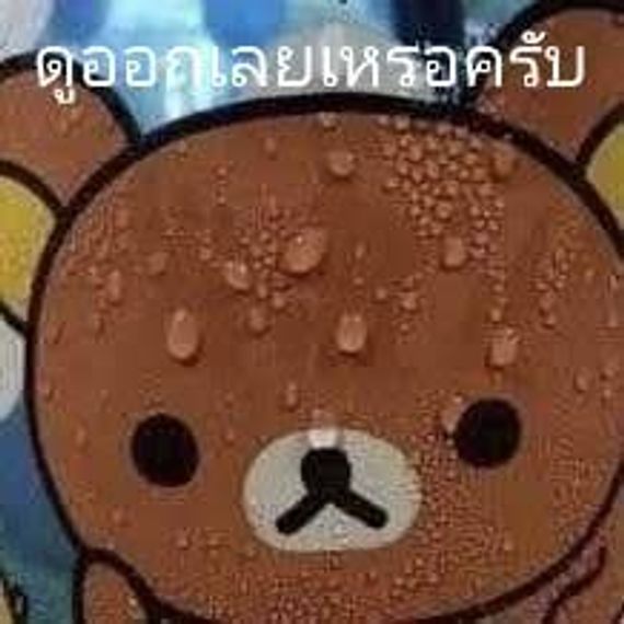 แชท หาแฟน, หาเพื่อนคุย  ที่อยู่ กรุงเทพมหานคร