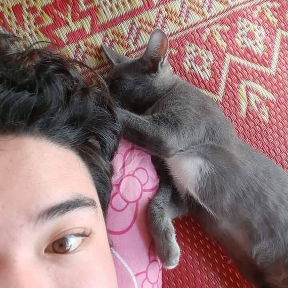 chat find love, chat 