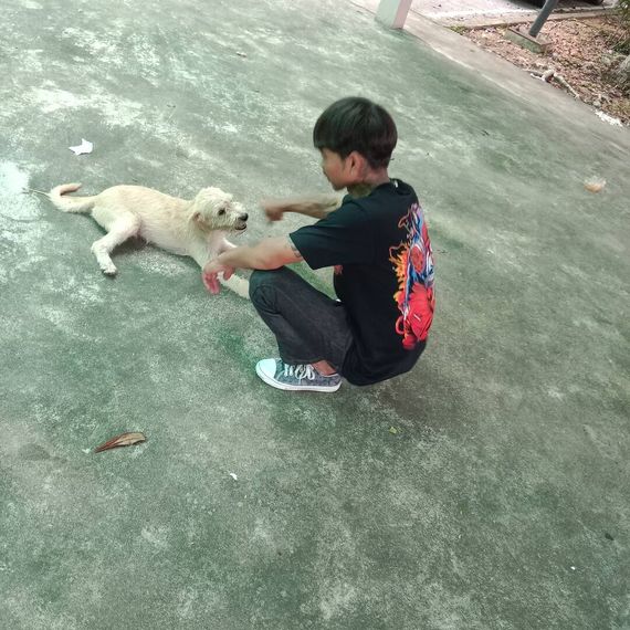 แชท หาเพื่อนคุย 