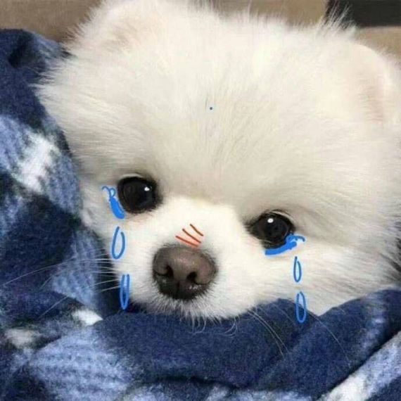 chat looking for friends 