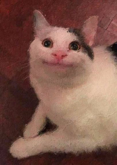 chat looking for friends 