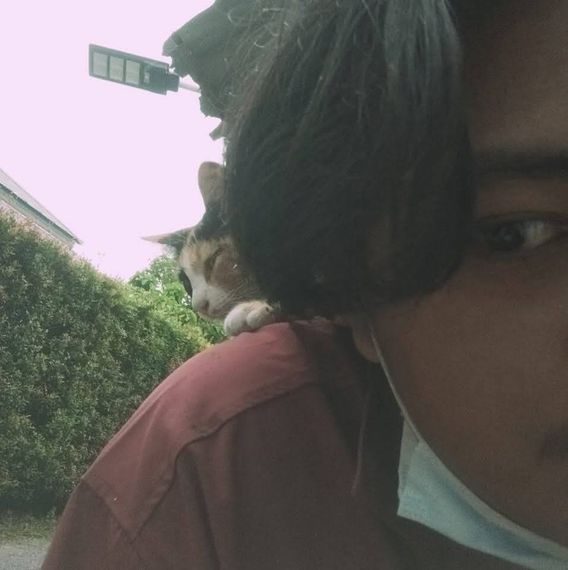 แชท หาเพื่อนคุย 