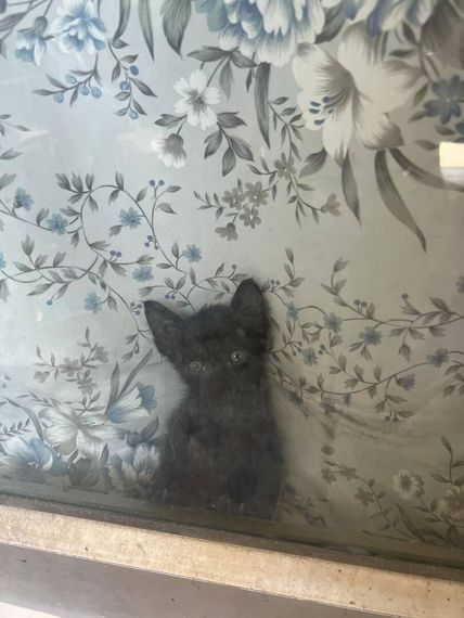 chat looking for friends 
