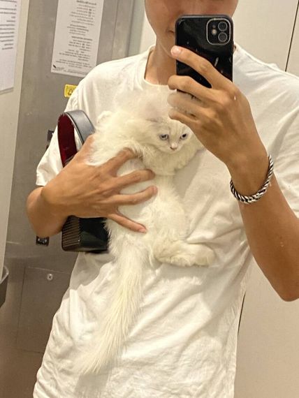 chat looking for friends 