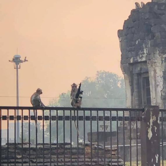 แชท โสด, แชทเปิดกล้อง 