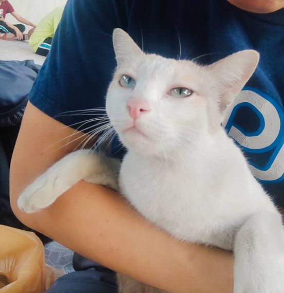 chat looking for friends 