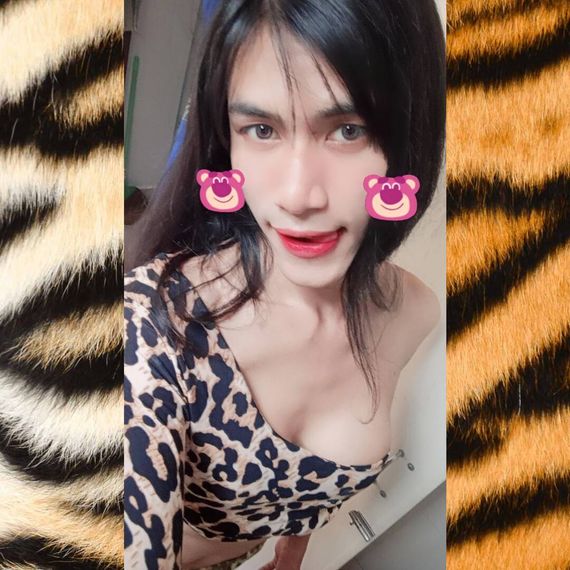 แชท หาเพื่อนคุย  ที่อยู่  สมุทรปราการ